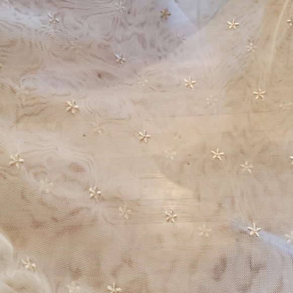 🚫SOLD🚫Vintage Mesh Bridal Dress - Picture 15 of 16